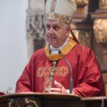 Biřmování v Českém Krumlově, Schwarzenberská granátnická garda, Foto/zdroj: Stanislava Vitoňová, www.clovekavira.cz