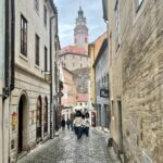 Slavnostní vztyčení praporů na gardové strážnici, 17. listopadu 2025, Schwarzenberská granátnická garda