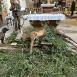 Hubertské slavnosti v Rožmberku n. Vlt., 18. 10. 2025, Schwarzenberská granátnická garda